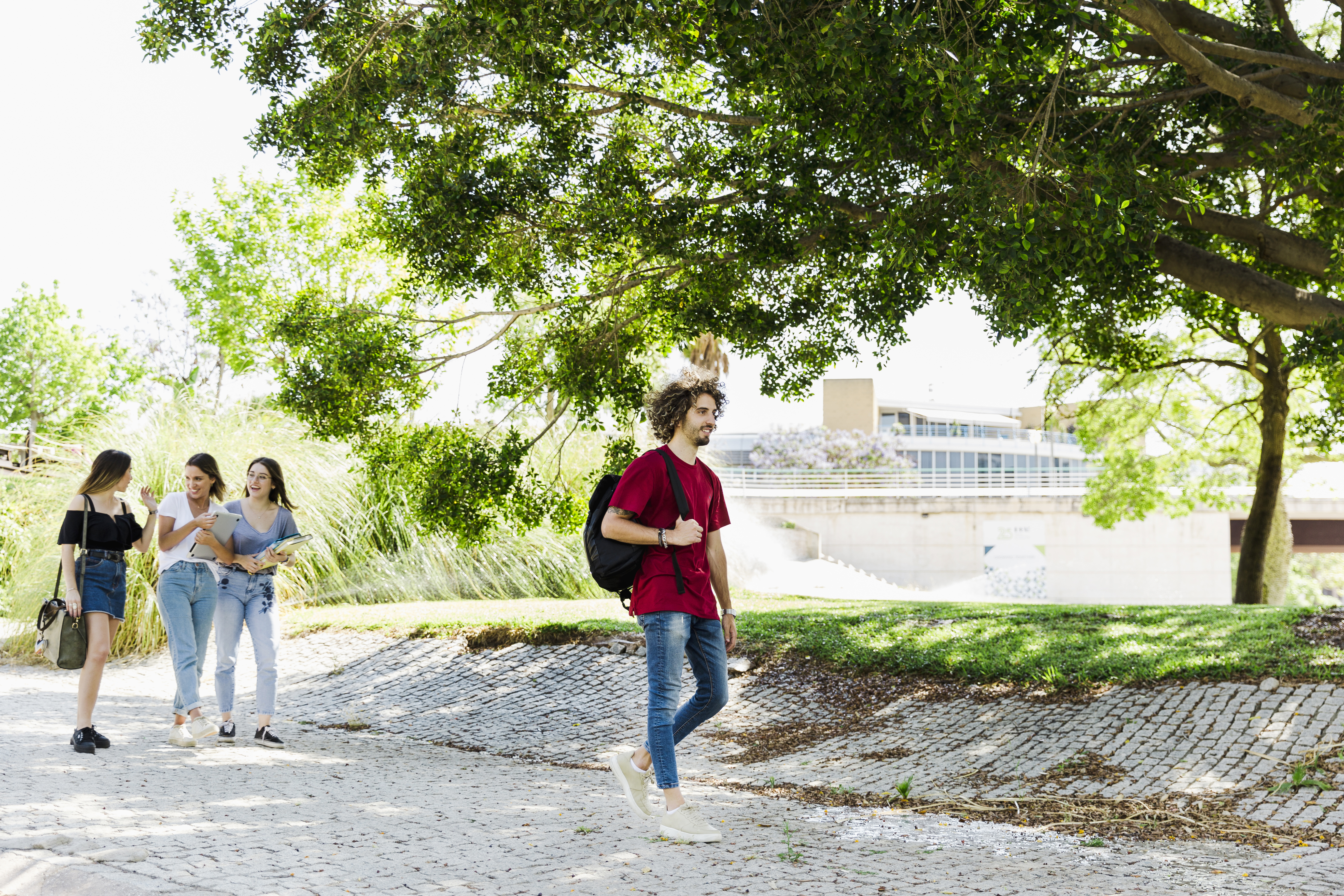 Campus Greenery